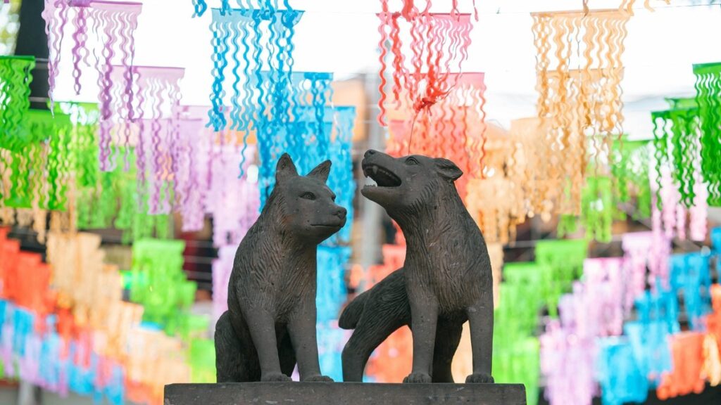 fatal fury city of the wolves - Photo by Viridiana Rivera on Pexels