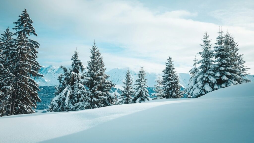 dispatch game season 2 - Photo by Ryan Klaus on Pexels