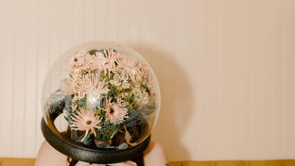 SpaceX Starshield - Photo by Tara Winstead on Pexels