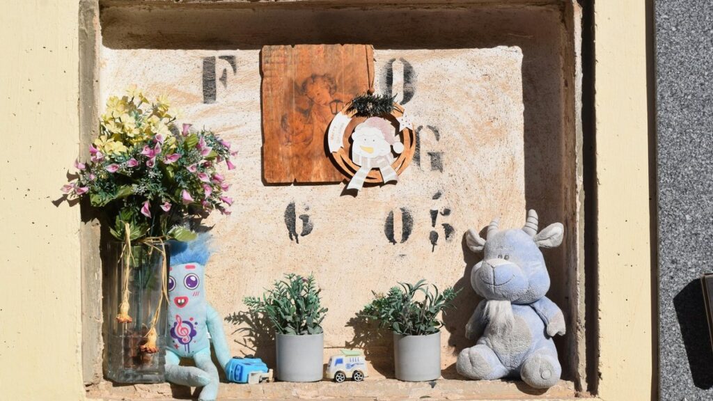 quirky products niche markets - Photo by Chus García on Pexels