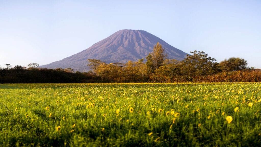 Ghost of Yotei - Photo by Marek Piwnicki on Pexels