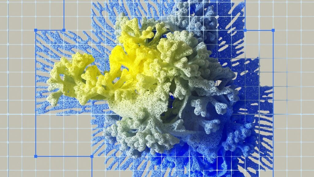 youtube algorithm update - Photo by Google DeepMind on Pexels