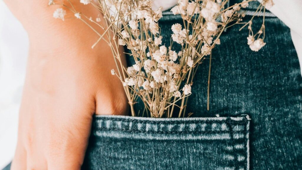 pokemon tcg pocket mega absol ex - Photo by Alina Vilchenko on Pexels