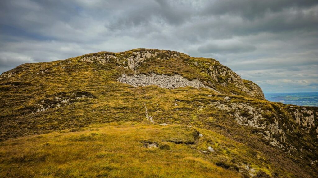 Samsung Galaxy Z TriFold folding phone - Photo by Oleksandr Kobuta on Pexels